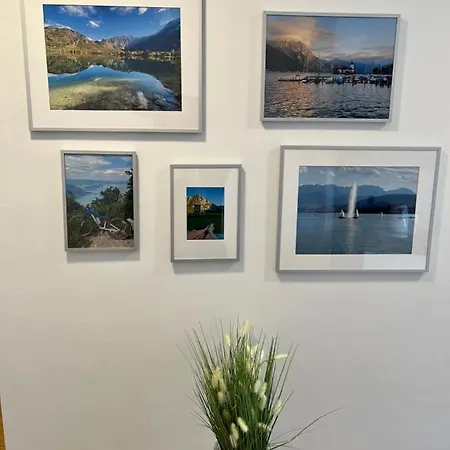 Appartement Traunsee 2 Altmünster
