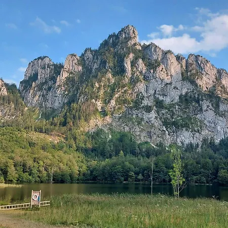Neues Traunsee * Altmünster