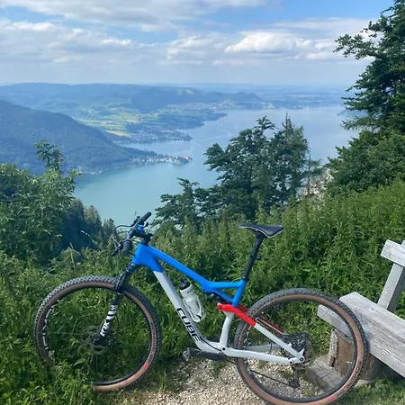 Traunsee 2 Altmünster