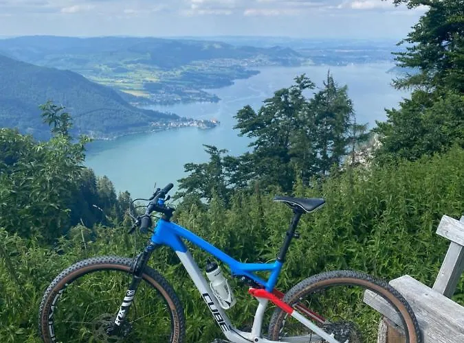 Neues Traunsee Altmünster